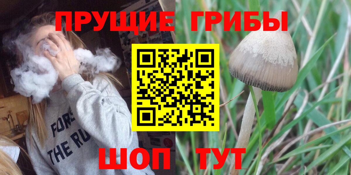 Псилоцибиновые грибы мицелий Луховицы